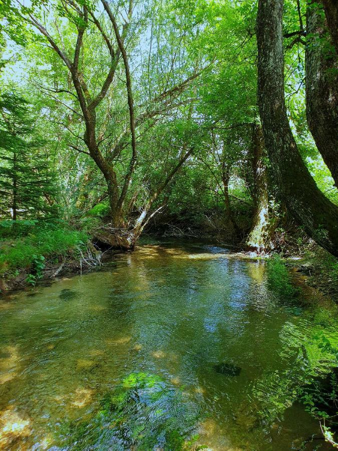 Draga Koncar Guest House Vrelo Koreničko المظهر الخارجي الصورة