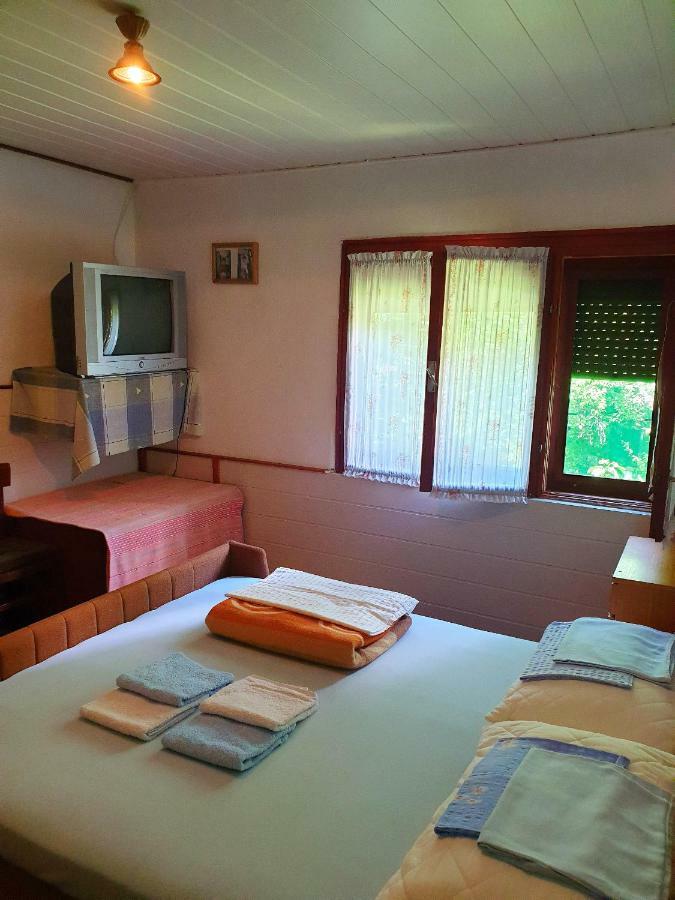Draga Koncar Guest House Vrelo Koreničko المظهر الخارجي الصورة