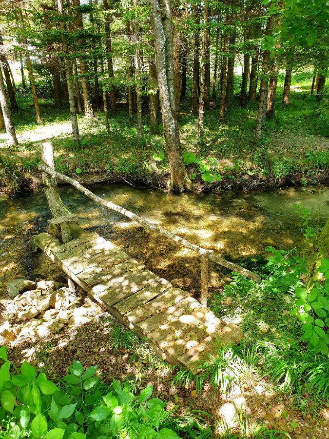 Draga Koncar Guest House Vrelo Koreničko المظهر الخارجي الصورة