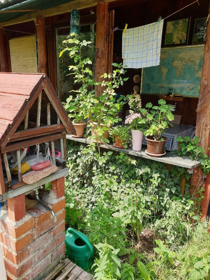 Draga Koncar Guest House Vrelo Koreničko المظهر الخارجي الصورة