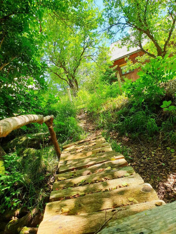 Draga Koncar Guest House Vrelo Koreničko المظهر الخارجي الصورة