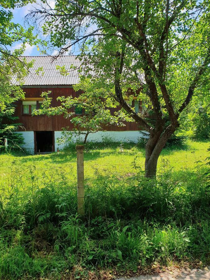 Draga Koncar Guest House Vrelo Koreničko المظهر الخارجي الصورة