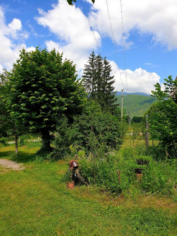 Draga Koncar Guest House Vrelo Koreničko المظهر الخارجي الصورة