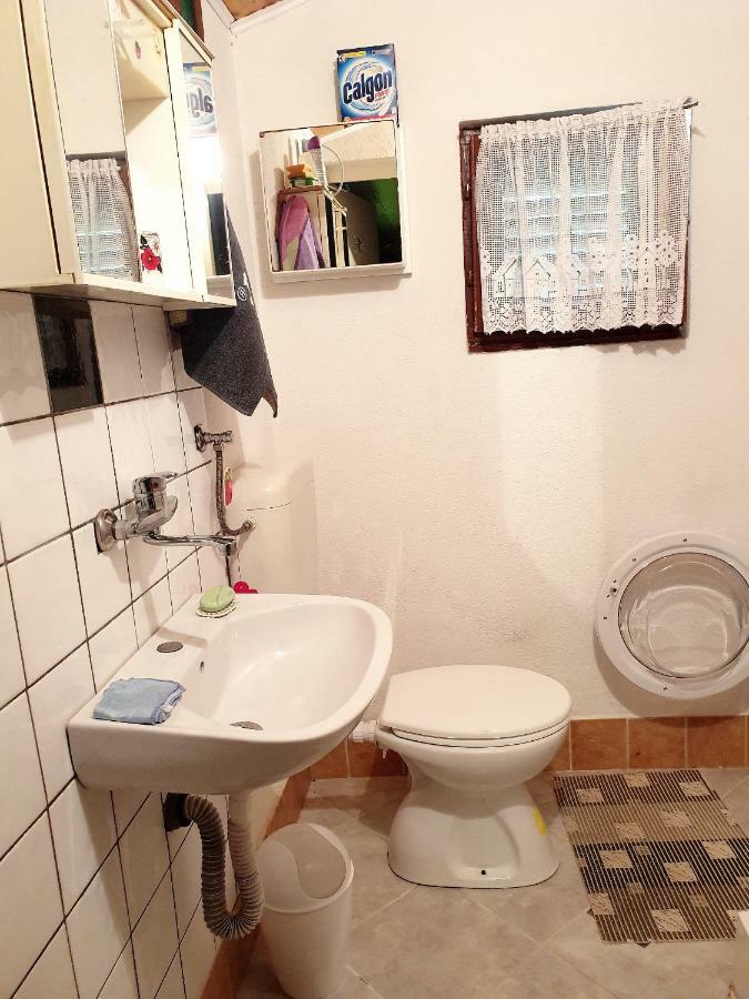 Draga Koncar Guest House Vrelo Koreničko المظهر الخارجي الصورة