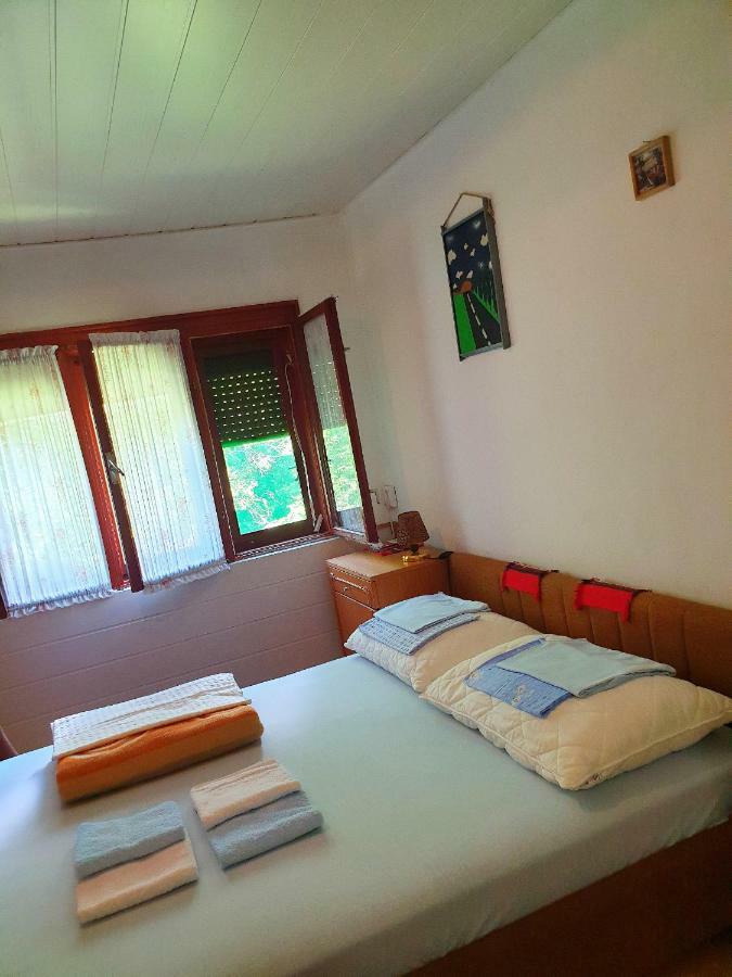 Draga Koncar Guest House Vrelo Koreničko المظهر الخارجي الصورة