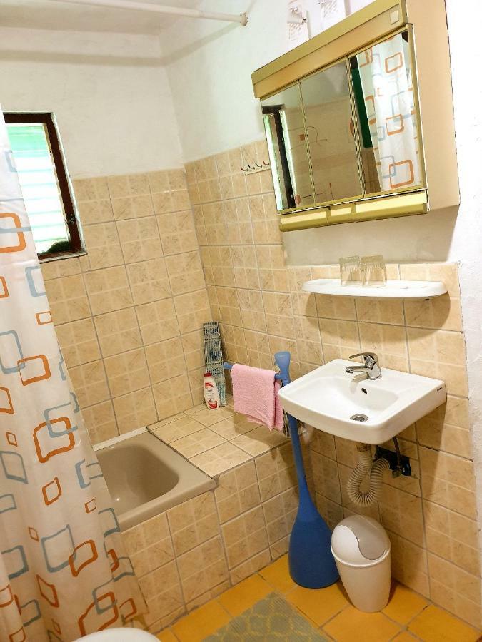 Draga Koncar Guest House Vrelo Koreničko المظهر الخارجي الصورة