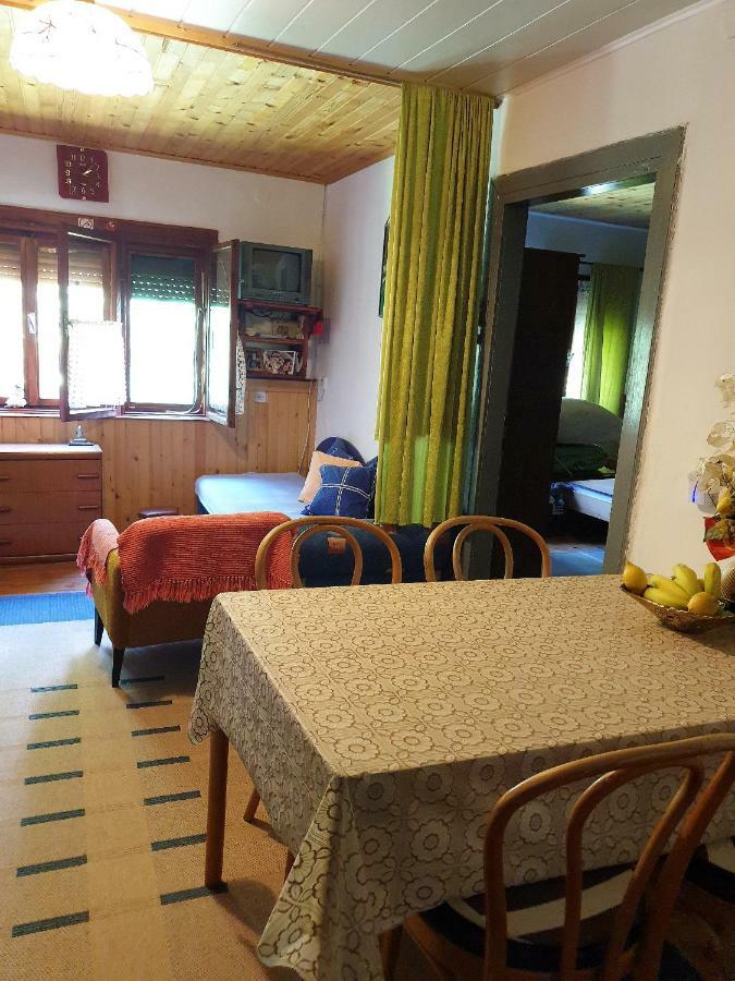 Draga Koncar Guest House Vrelo Koreničko المظهر الخارجي الصورة